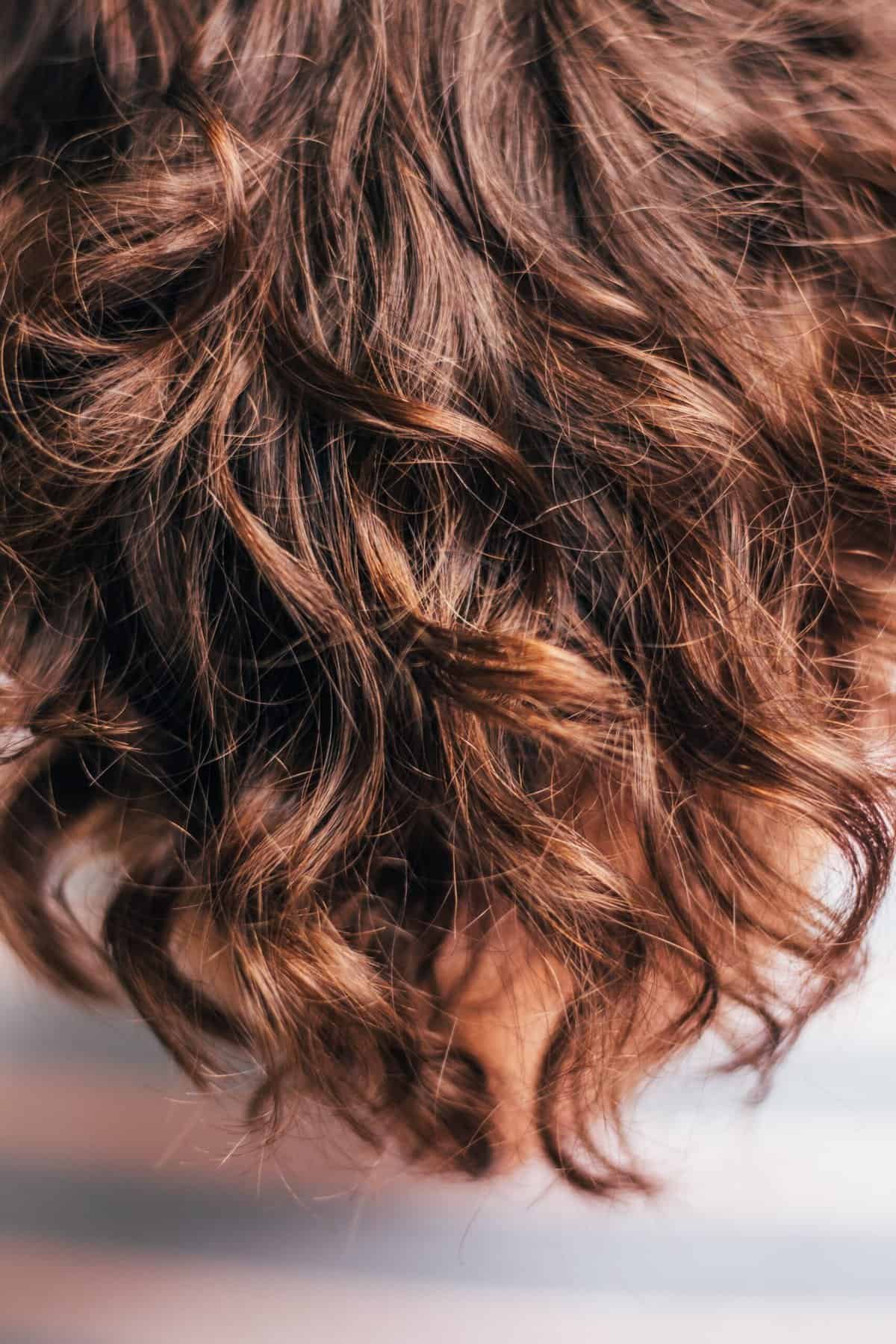 Are There Benefits Of Nopal Supplements For Hair Growth? Are There Benefits Of Nopal Supplements For Hair Growth?