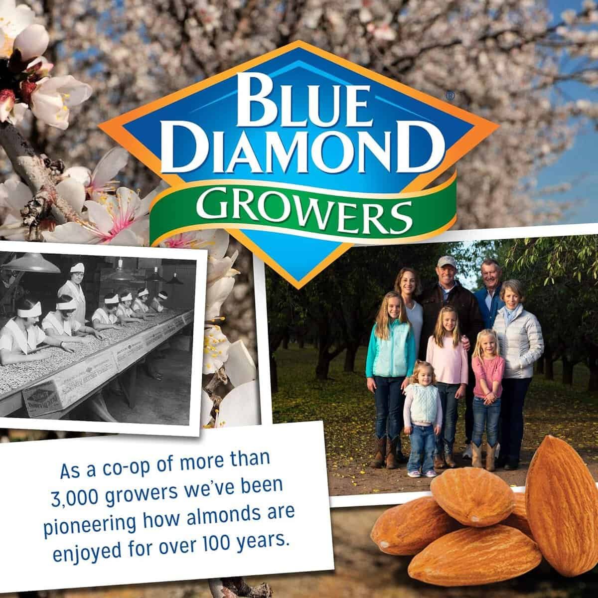 Blue Diamond Almonds, Raw Whole Natural, 16 Ounce