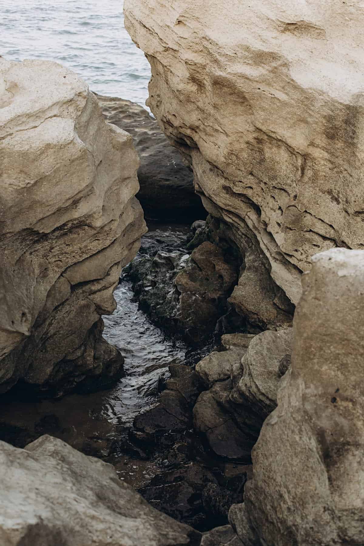 How Do Nopal Supplements Support Weight Management?