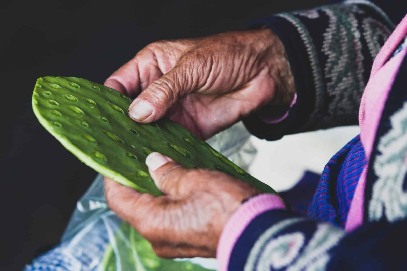 Nopal By Cintron Nopal By Cintron