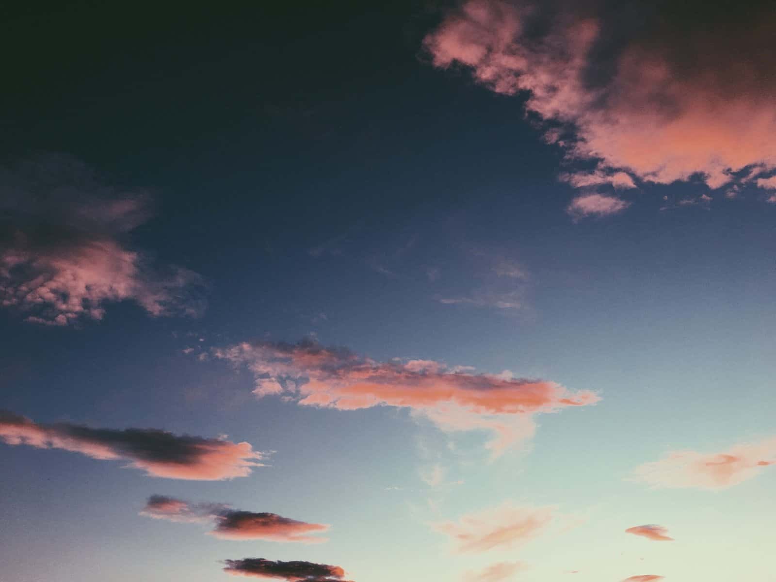 Snow Peas 1lb Snow Peas 1lb