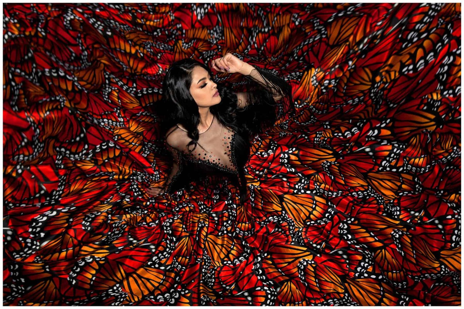 What Are The Signs Of A Healthy Nopal Plant? What Are The Signs Of A Healthy Nopal Plant?