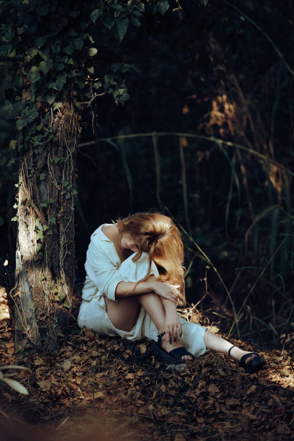 What Type Of Sunlight Does Nopal Require?