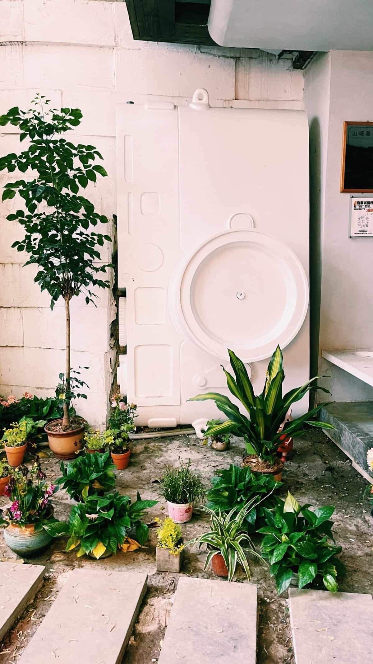 How Do I Create A Nopal-friendly Ecosystem In My Garden?