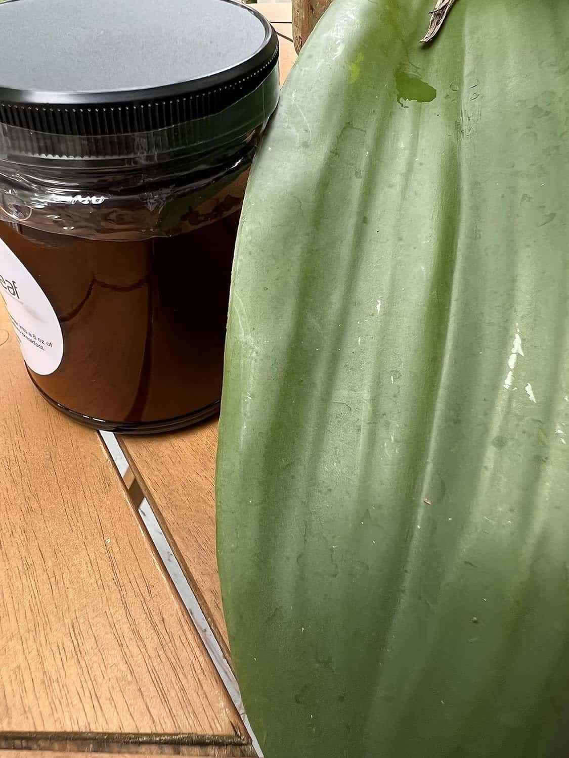 Nopal Cactus powder wildcrafted, ORGANIC Prickly pear/ Dehydrated nopal powder 100% natural organic (2oz, 5oz, 16oz) (4oz) Nopal Cactus powder wildcrafted, ORGANIC Prickly pear/ Dehydrated nopal powder 100% natural organic (2oz, 5oz, 16oz) (4oz)