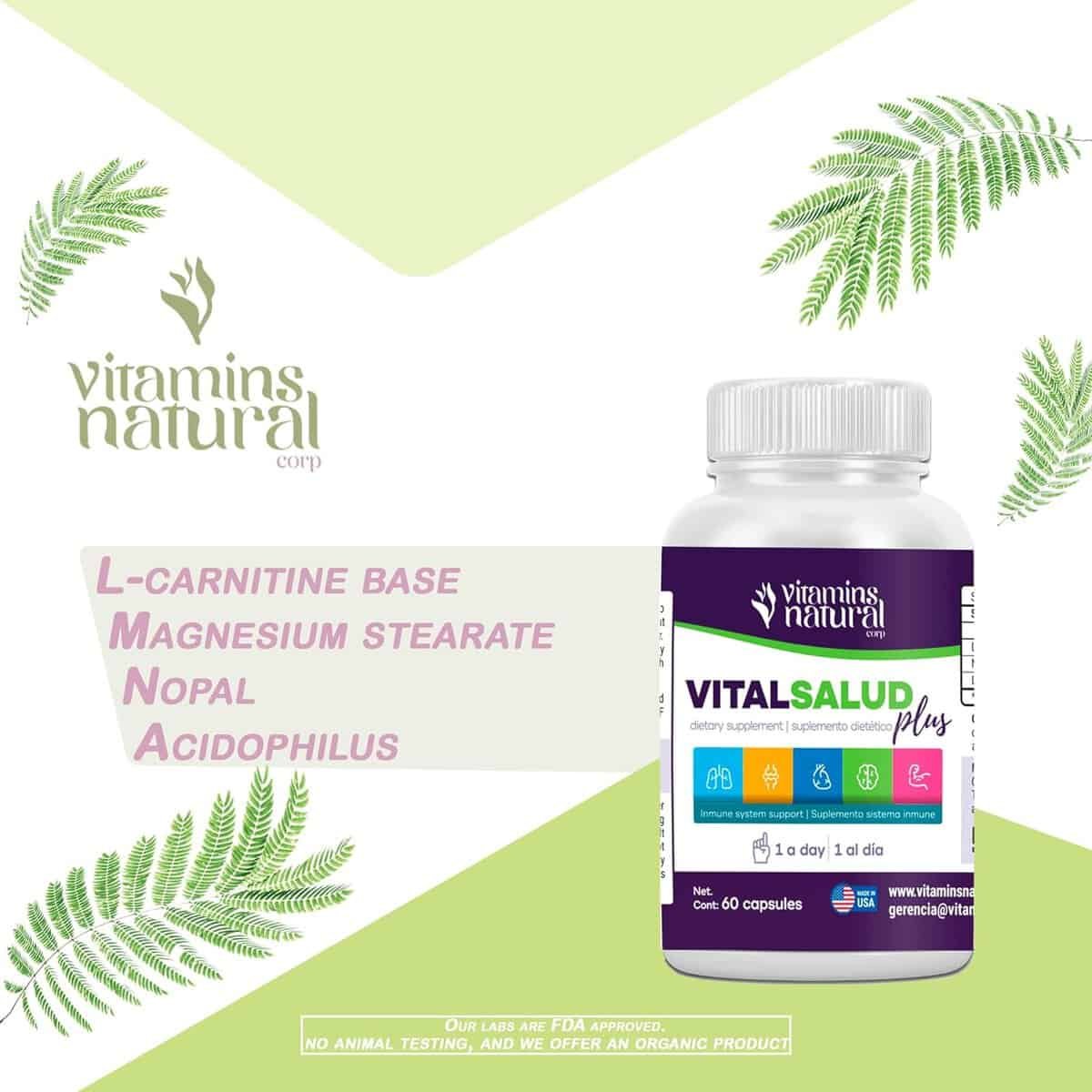 Vital Salud Plus - Immune System Support - Treatment for varicose Veins 100% Organic - with Nopal and L-Carnitine Base - VITALSALUD Plus