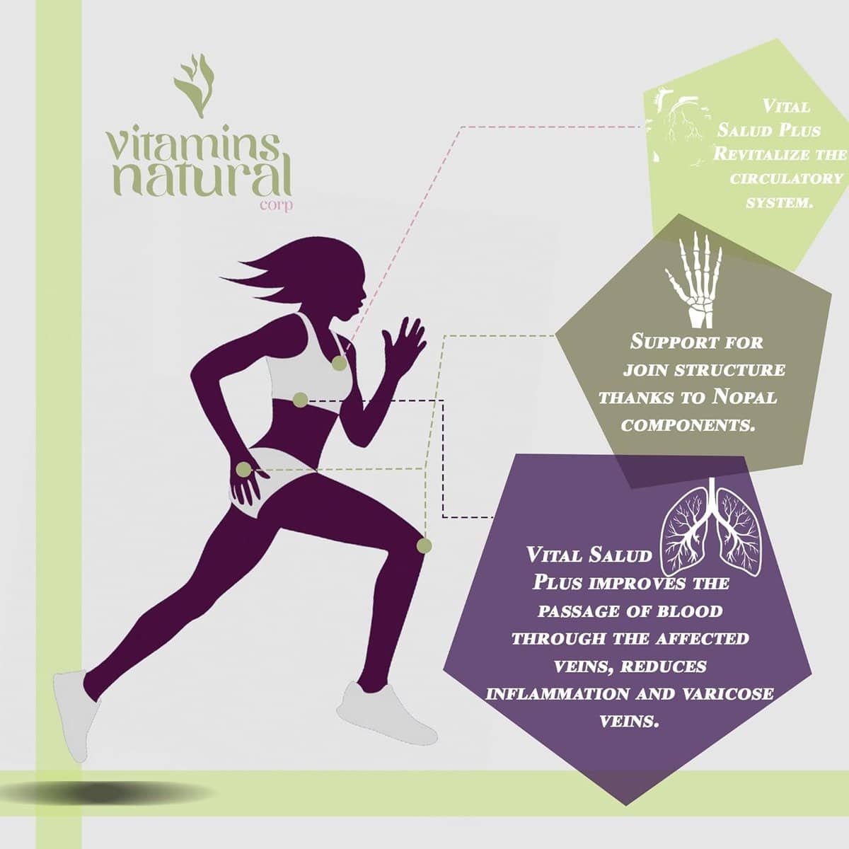 Vital Salud Plus - Immune System Support - Treatment for varicose Veins 100% Organic - with Nopal and L-Carnitine Base - VITALSALUD Plus