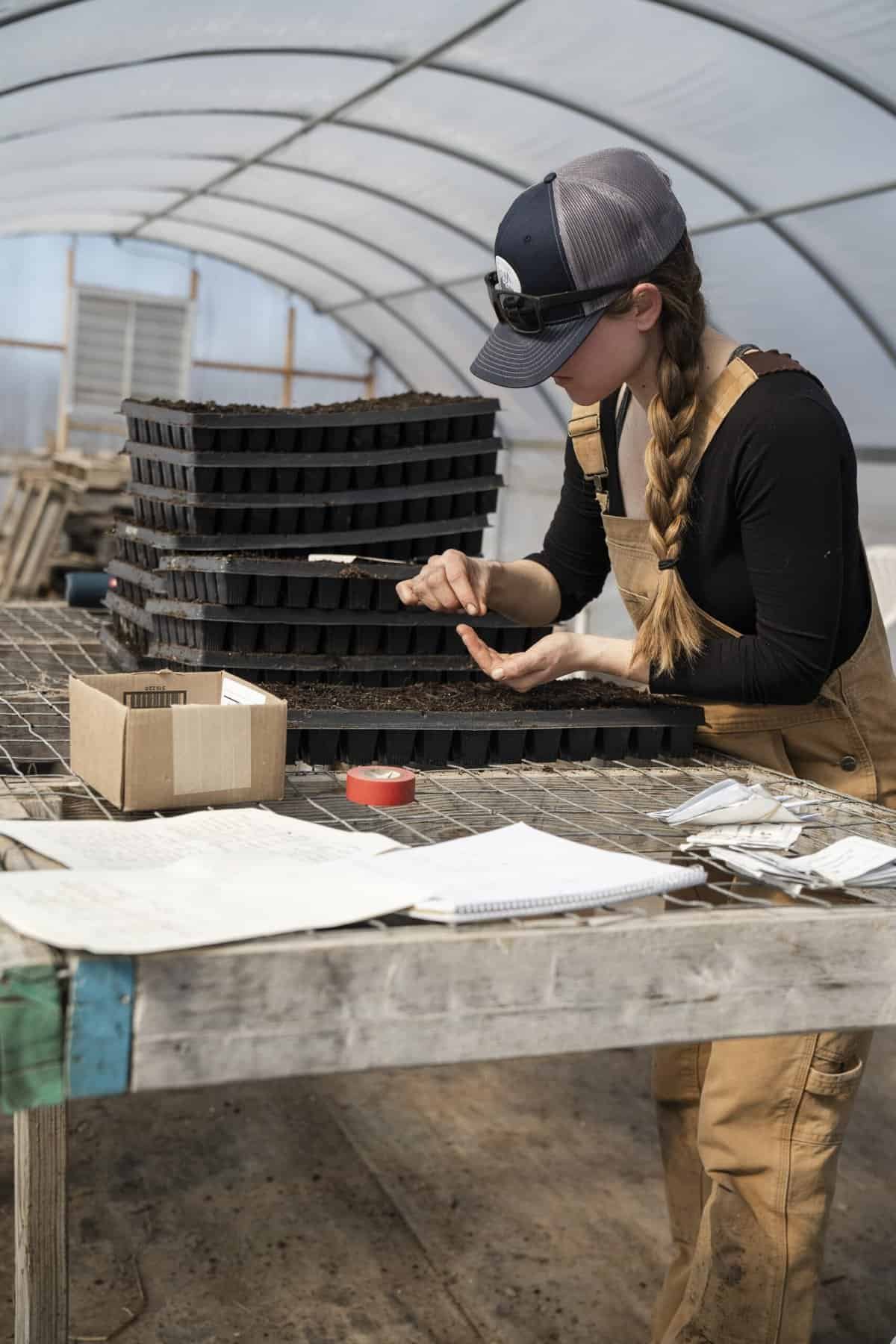 What Are The Benefits Of Mulching Around Nopal Plants? What Are The Benefits Of Mulching Around Nopal Plants?