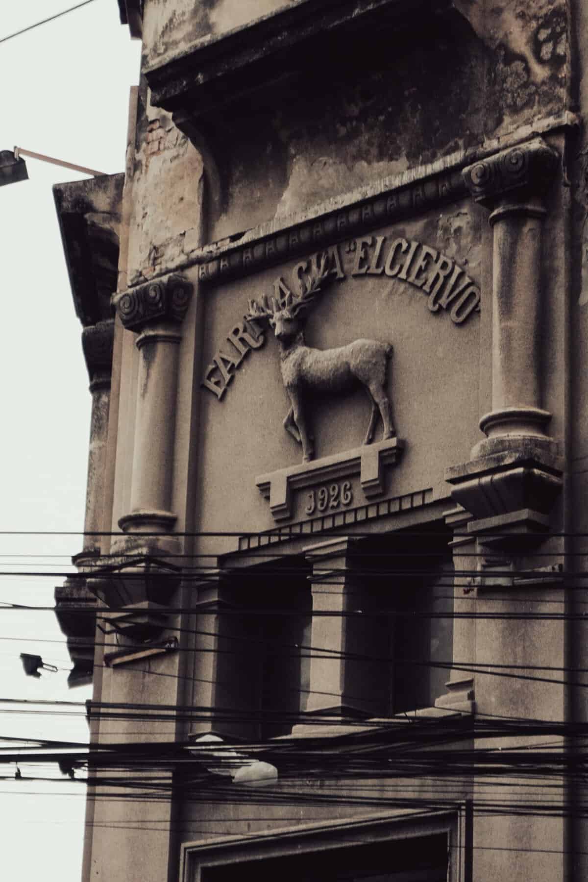 Are There Any Age-related Precautions For Nopal Supplement Use?