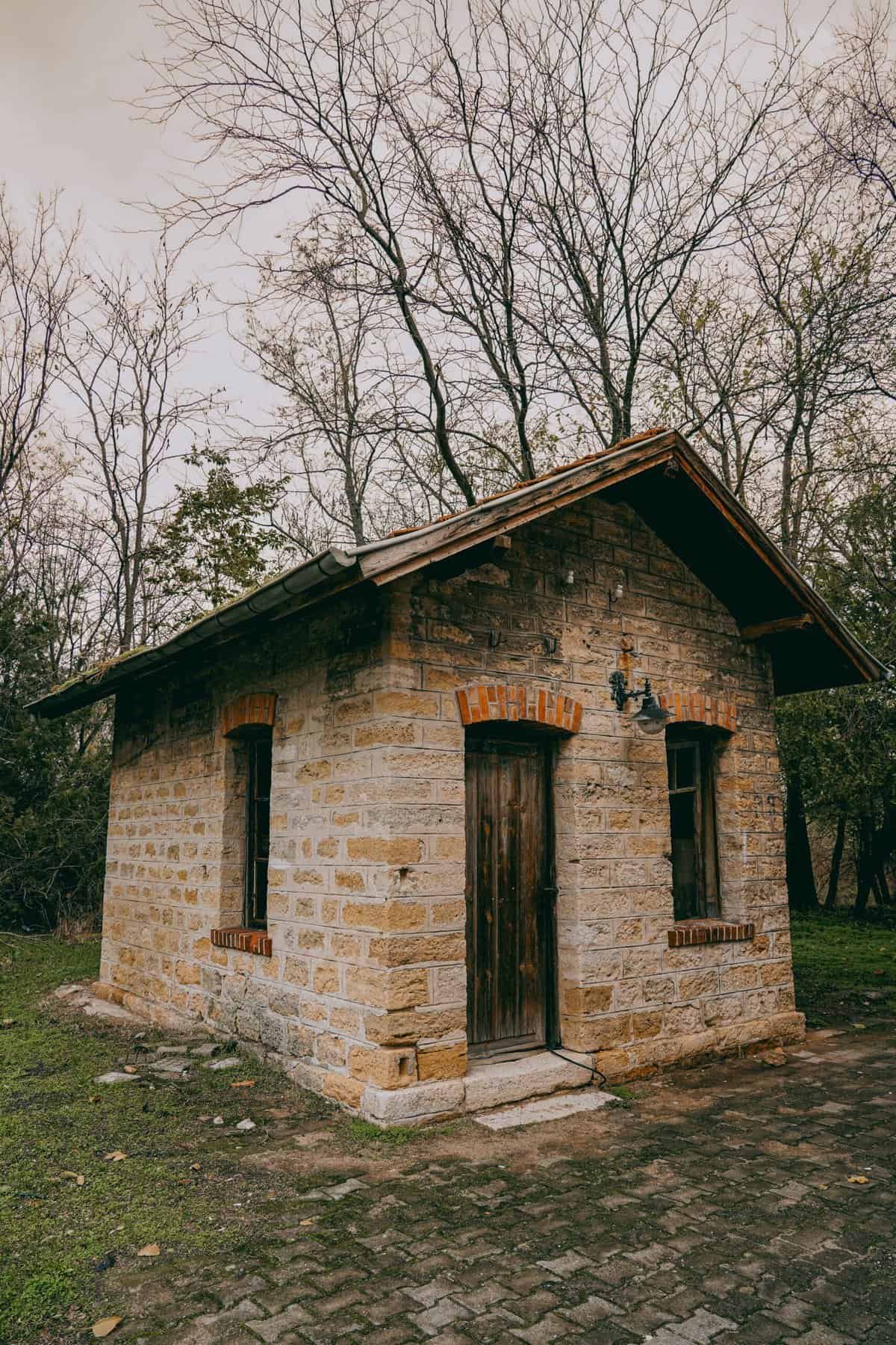 Are There Any Age-related Precautions For Nopal Supplement Use?