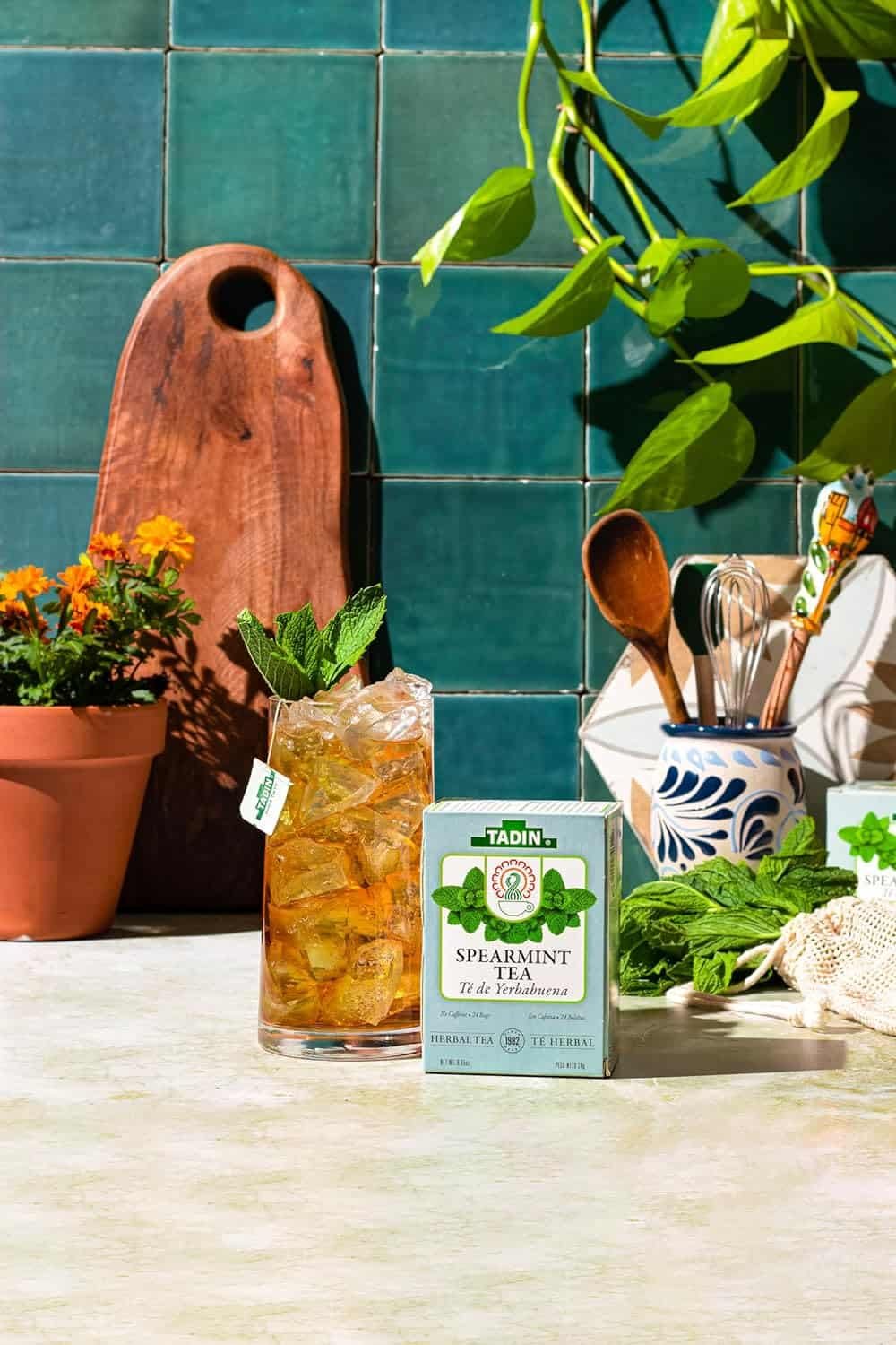 Tadin Aloe Vera Cactus Herbal Tea, Caffeine Free, 24 Tea Bag Per Box, Pack of 6 Boxes Total