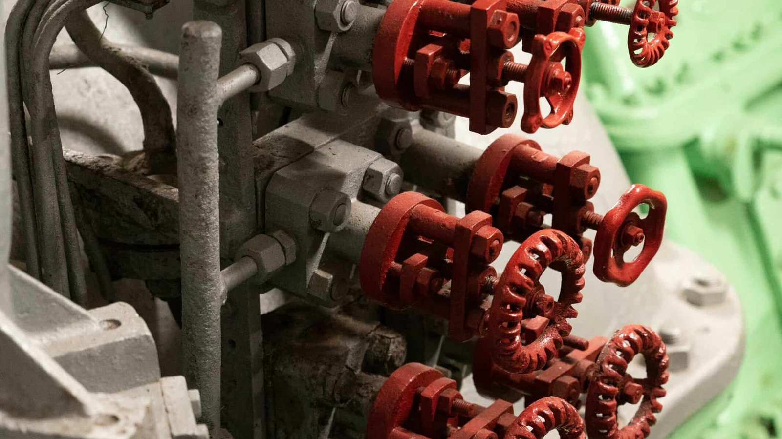 How Do I Enhance Nopals Resistance To Common Pests? How Do I Enhance Nopals Resistance To Common Pests?