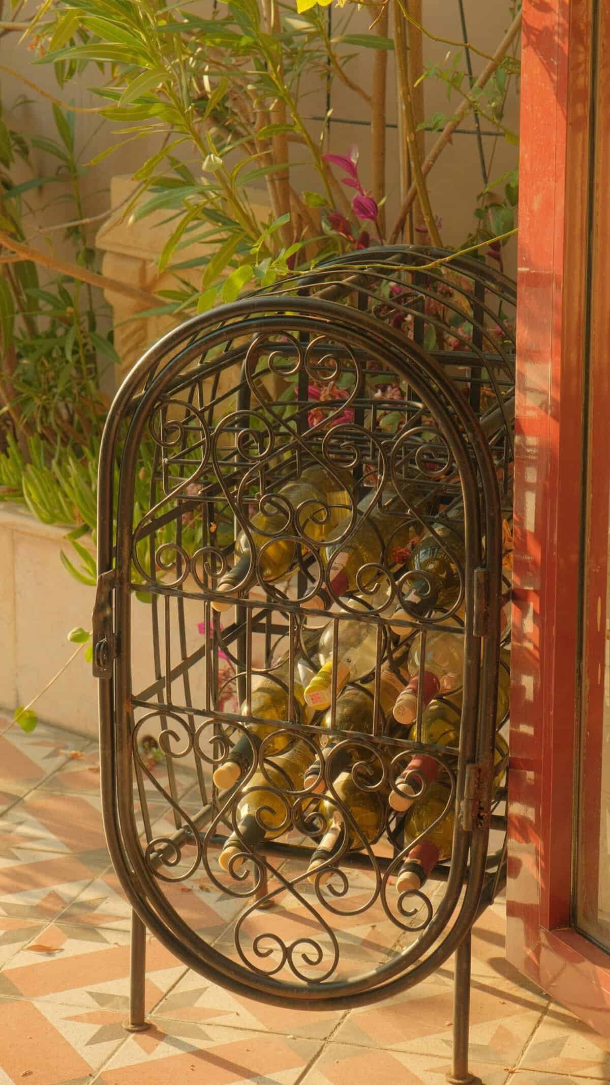 How To Grow Nopal Cactus In Shaded Areas?