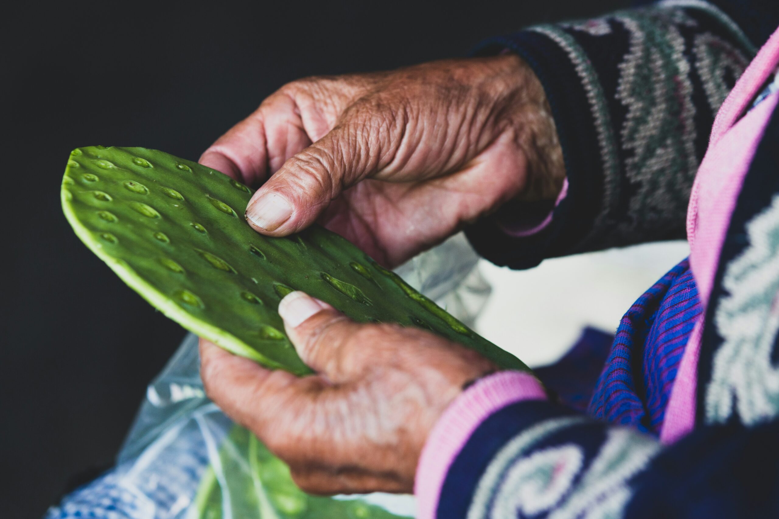 How To Use Nopal Cactus In Erosion Control?