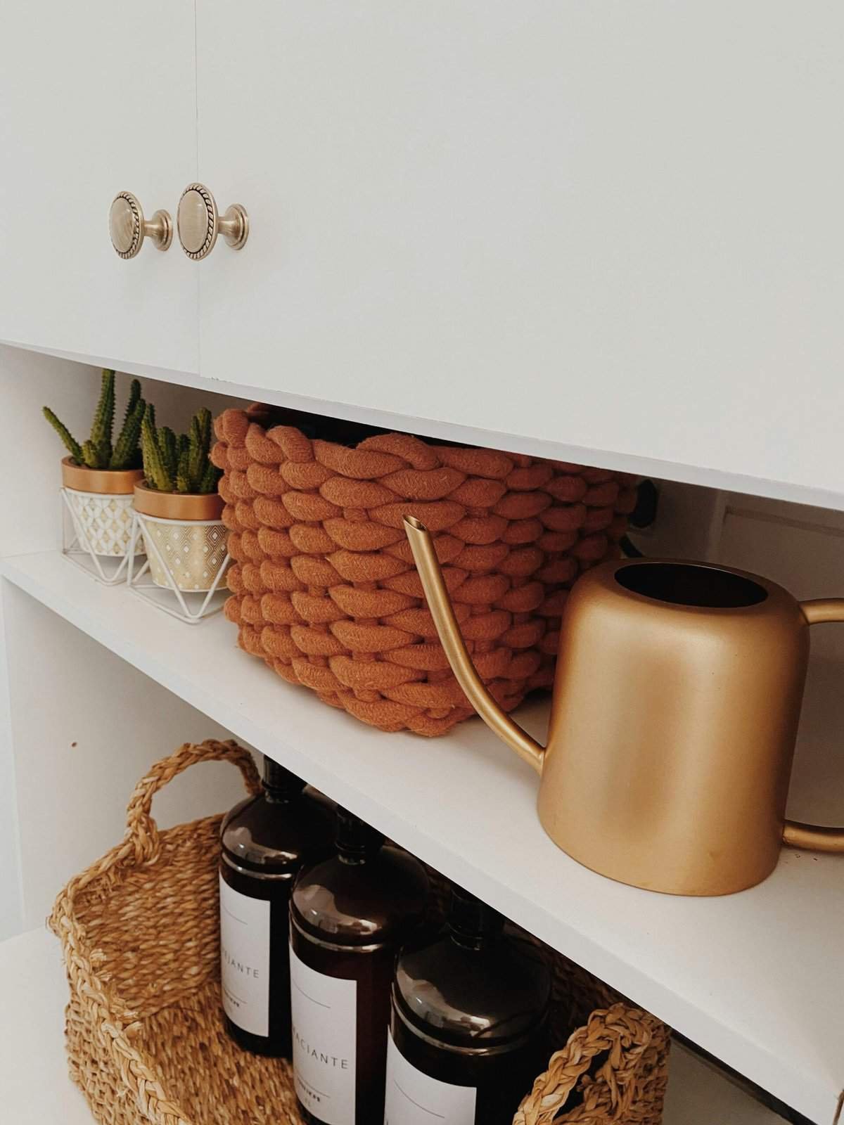 What Are The Benefits Of Nopal Cactus For Heart Health? What Are The Benefits Of Nopal Cactus For Heart Health?