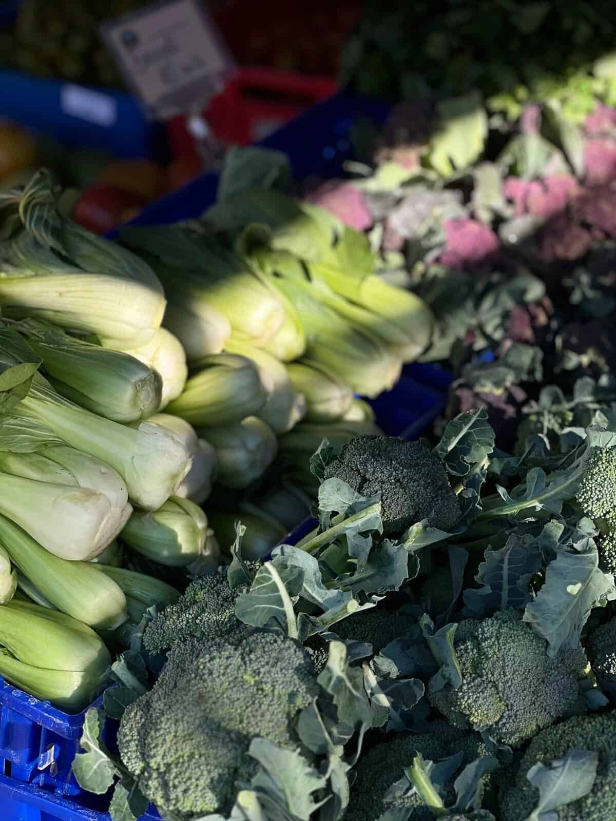 What Are The Best Ways To Incorporate Nopal Into Your Diet?