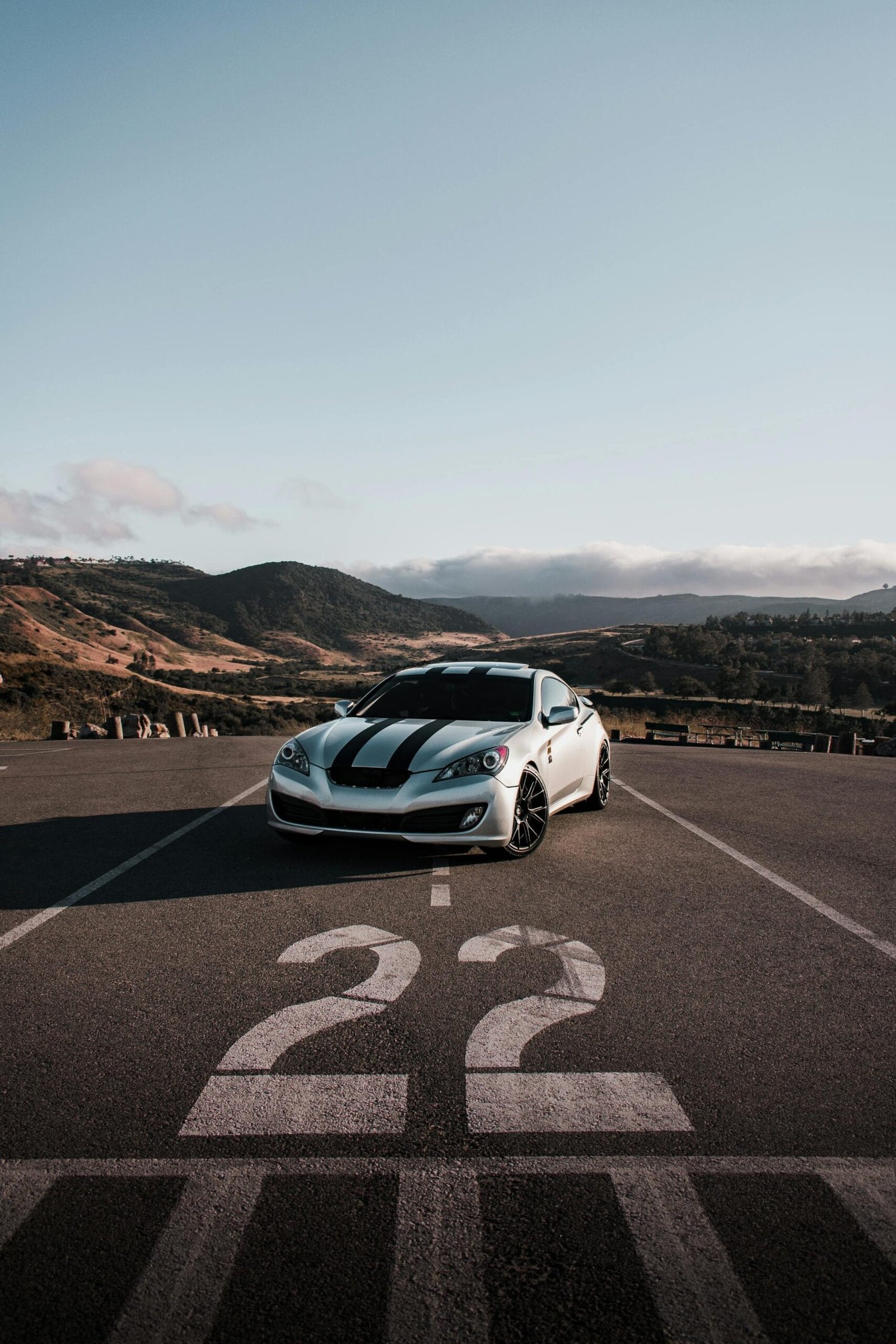 How Does Nopal Cactus Aid In Liver Health?