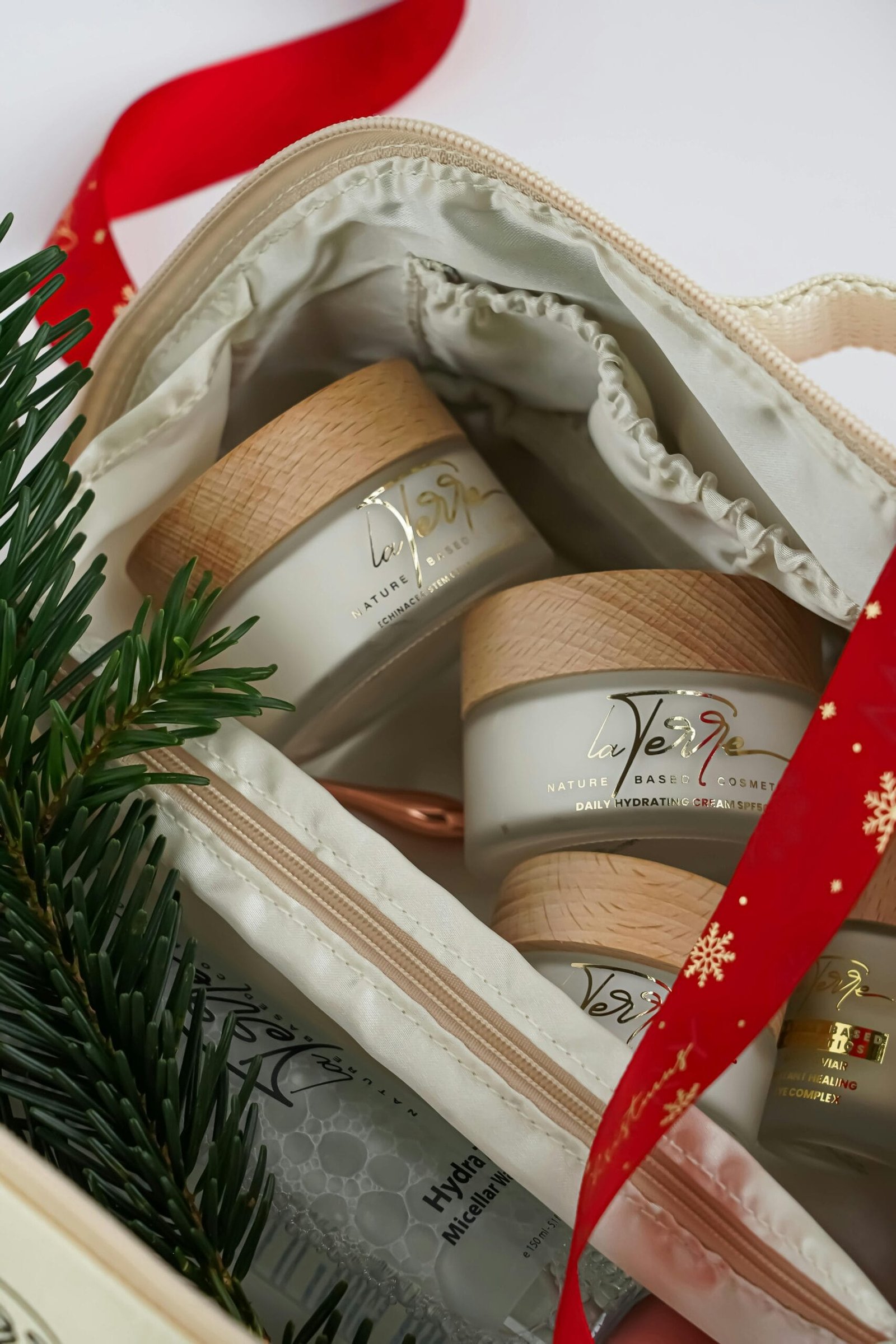 How To Care For Nopal Cactus In Winter? How To Care For Nopal Cactus In Winter?