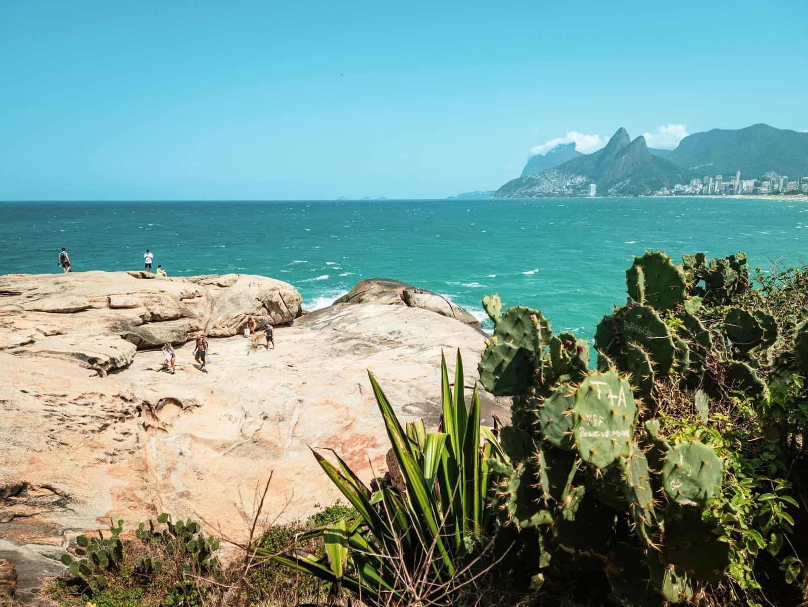 What Are The Anti-aging Benefits Of Nopal Cactus?