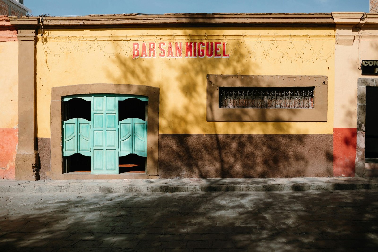 What Are The Signs Of Overwatering In Nopal Cactus? What Are The Signs Of Overwatering In Nopal Cactus?