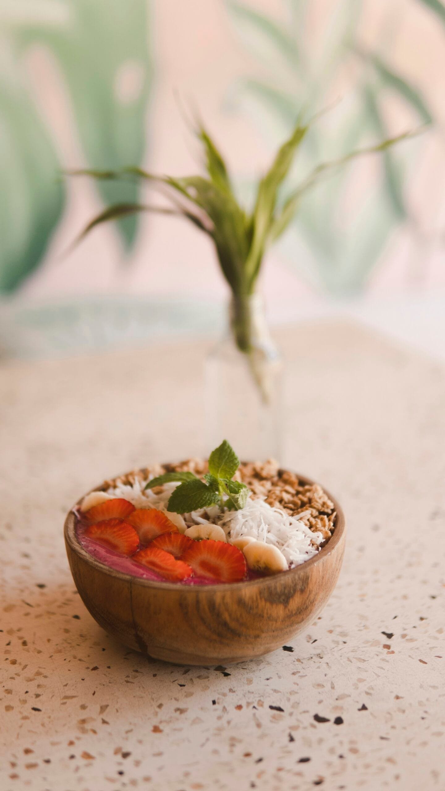 Can Nopal Cactus Improve Mental Clarity And Focus?