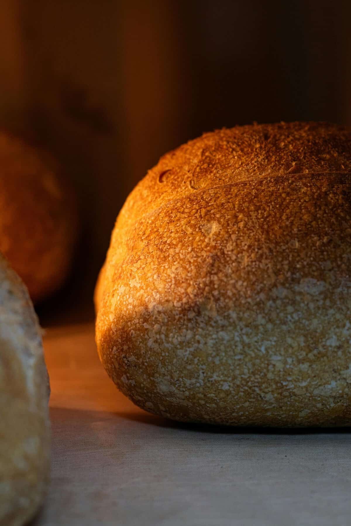 What Are The Best Ways To Cook Nopal With Eggs? What Are The Best Ways To Cook Nopal With Eggs?