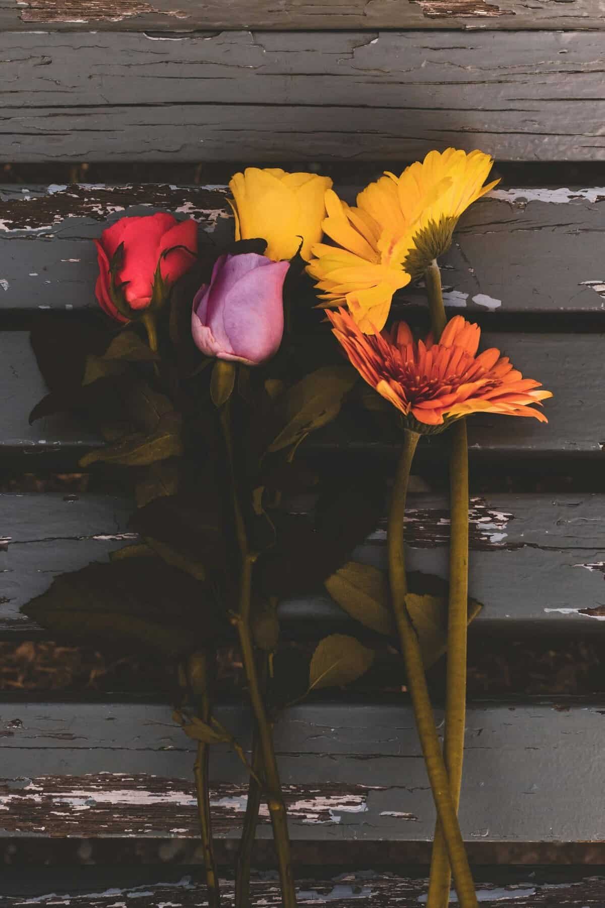 How To Prepare Nopal For Freezing?