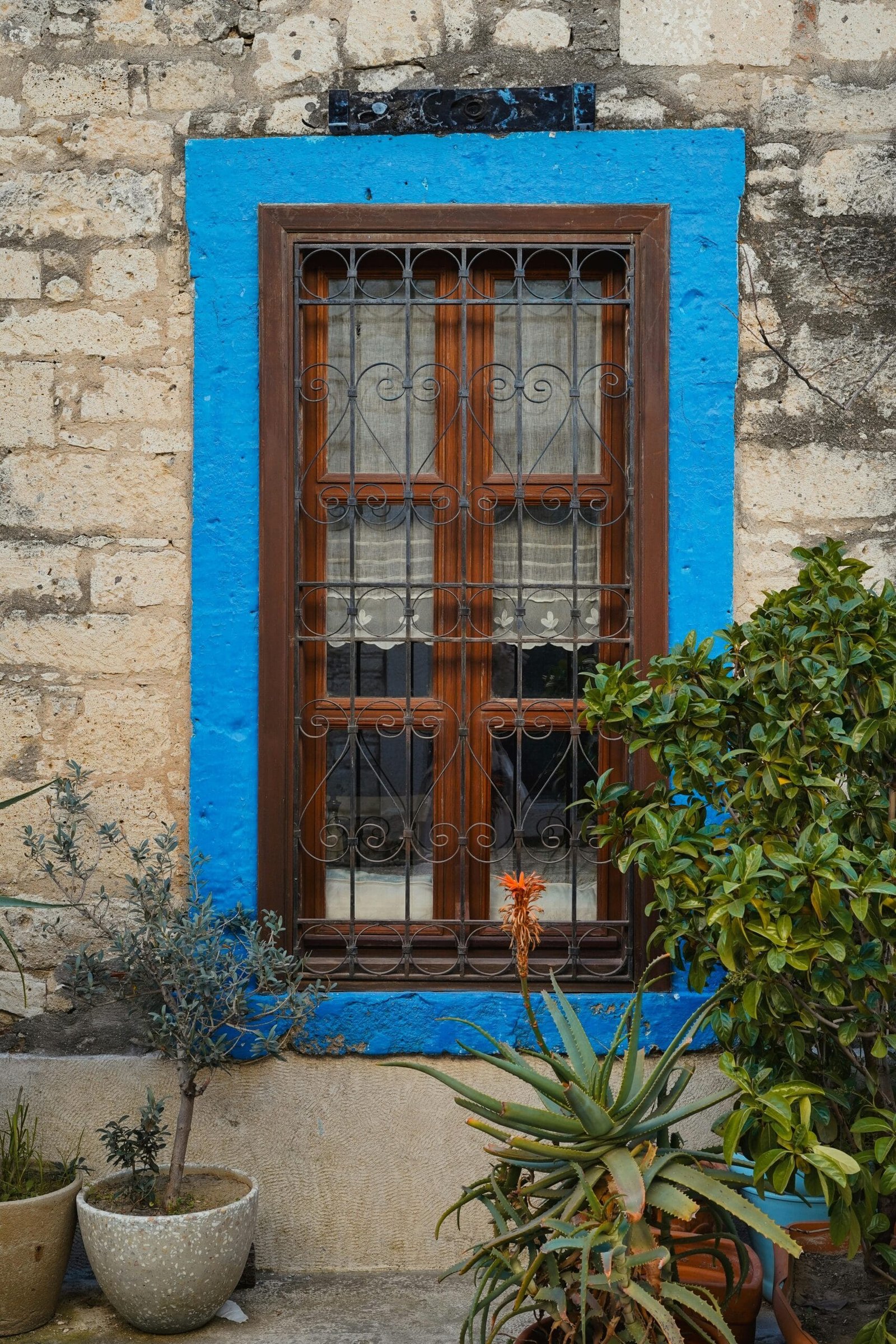 How Does Nopal Cactus Help In Balancing Hormones?