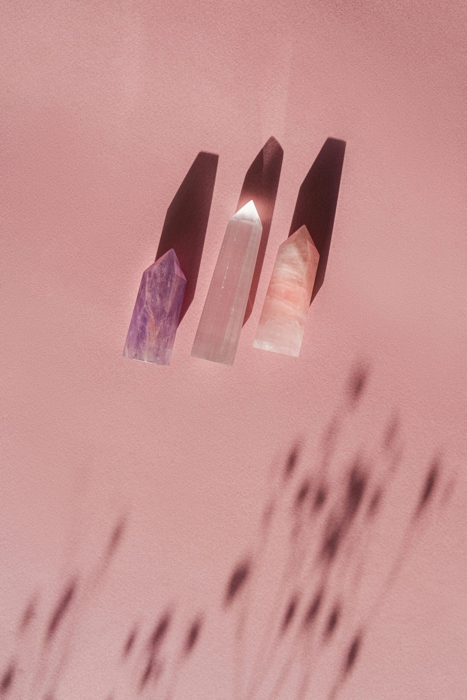 How Does Nopal Cactus Aid In Muscle Recovery?