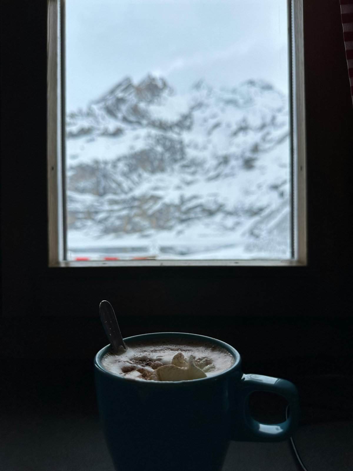 How To Make A Refreshing Nopal Agua Fresca? How To Make A Refreshing Nopal Agua Fresca?