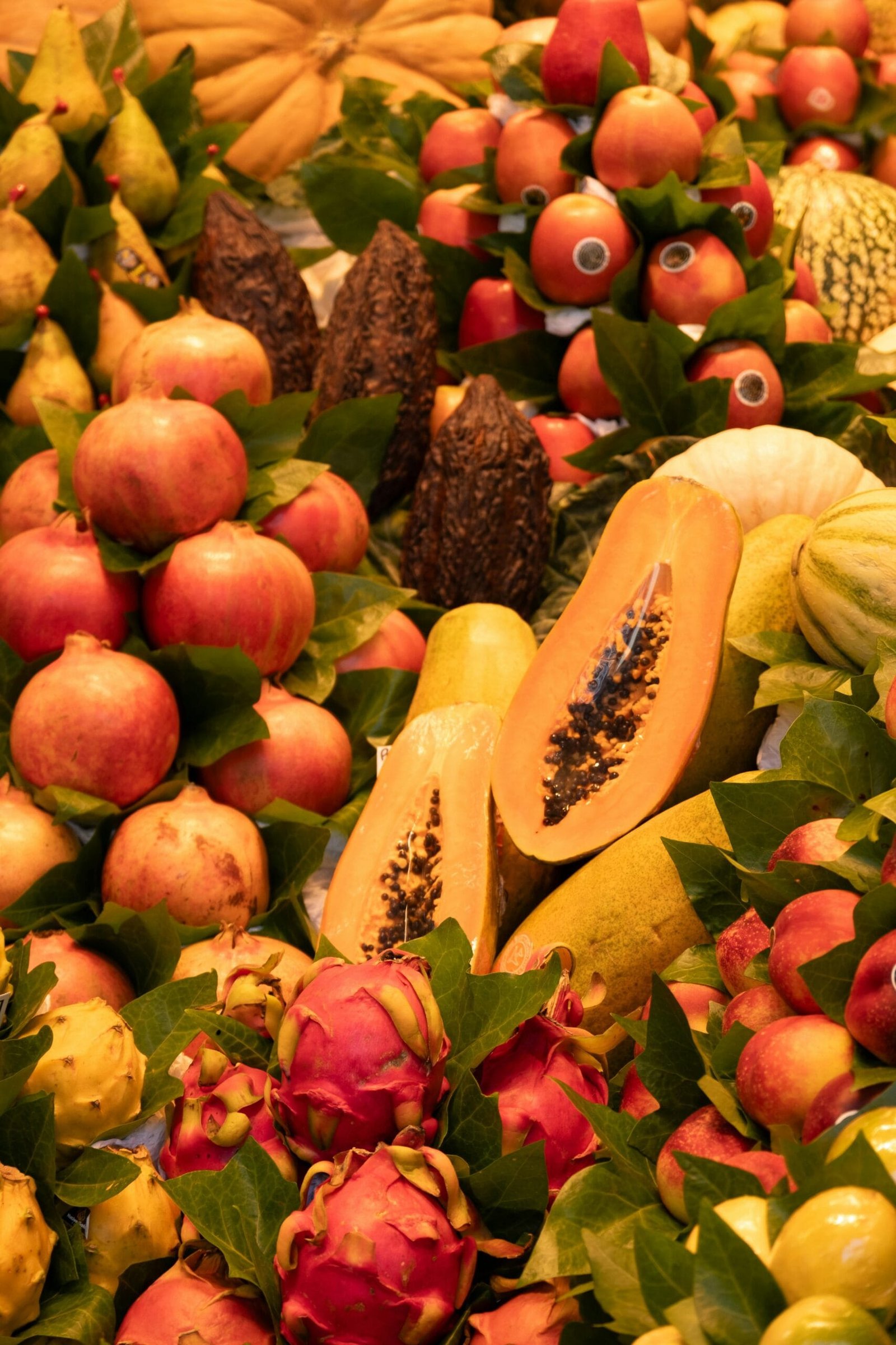 What Are The Benefits Of Adding Nopal To Your Diet? What Are The Benefits Of Adding Nopal To Your Diet?