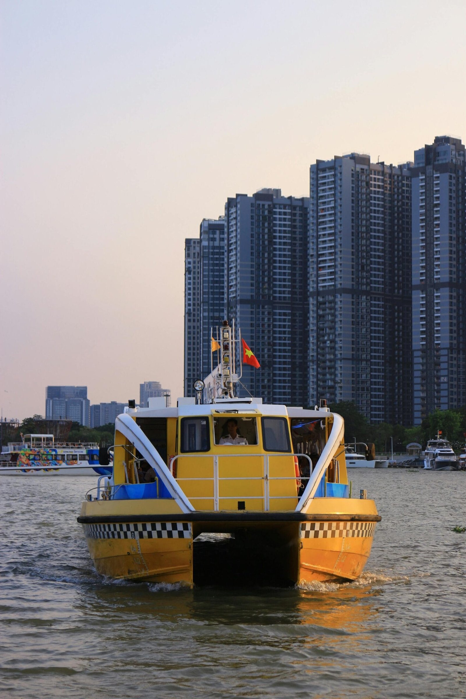 How To Ensure Nopal Cactus Survives Drought Conditions?