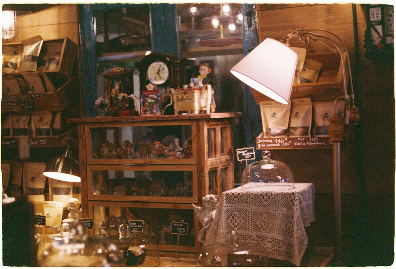 How To Identify The Different Varieties Of Nopal Cactus? How To Identify The Different Varieties Of Nopal Cactus?