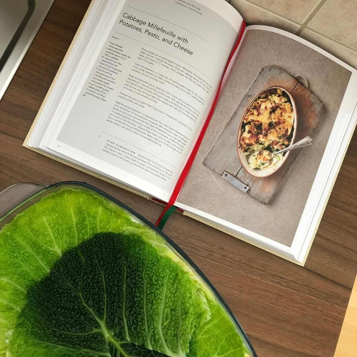 What Are Some Easy Nopal Recipes For Beginners? What Are Some Easy Nopal Recipes For Beginners?