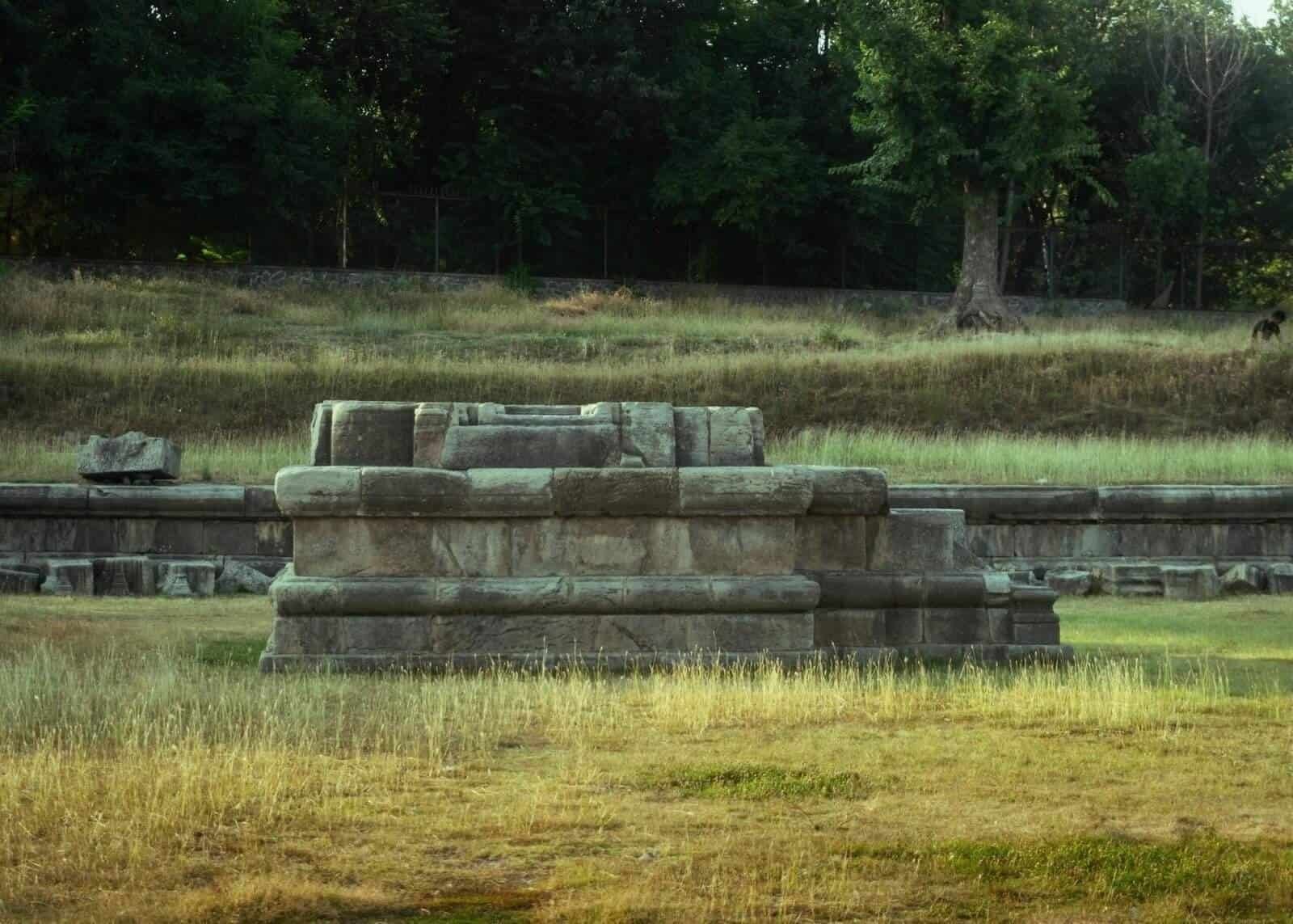 How Does Nopal Cactus Support Healthy Aging?