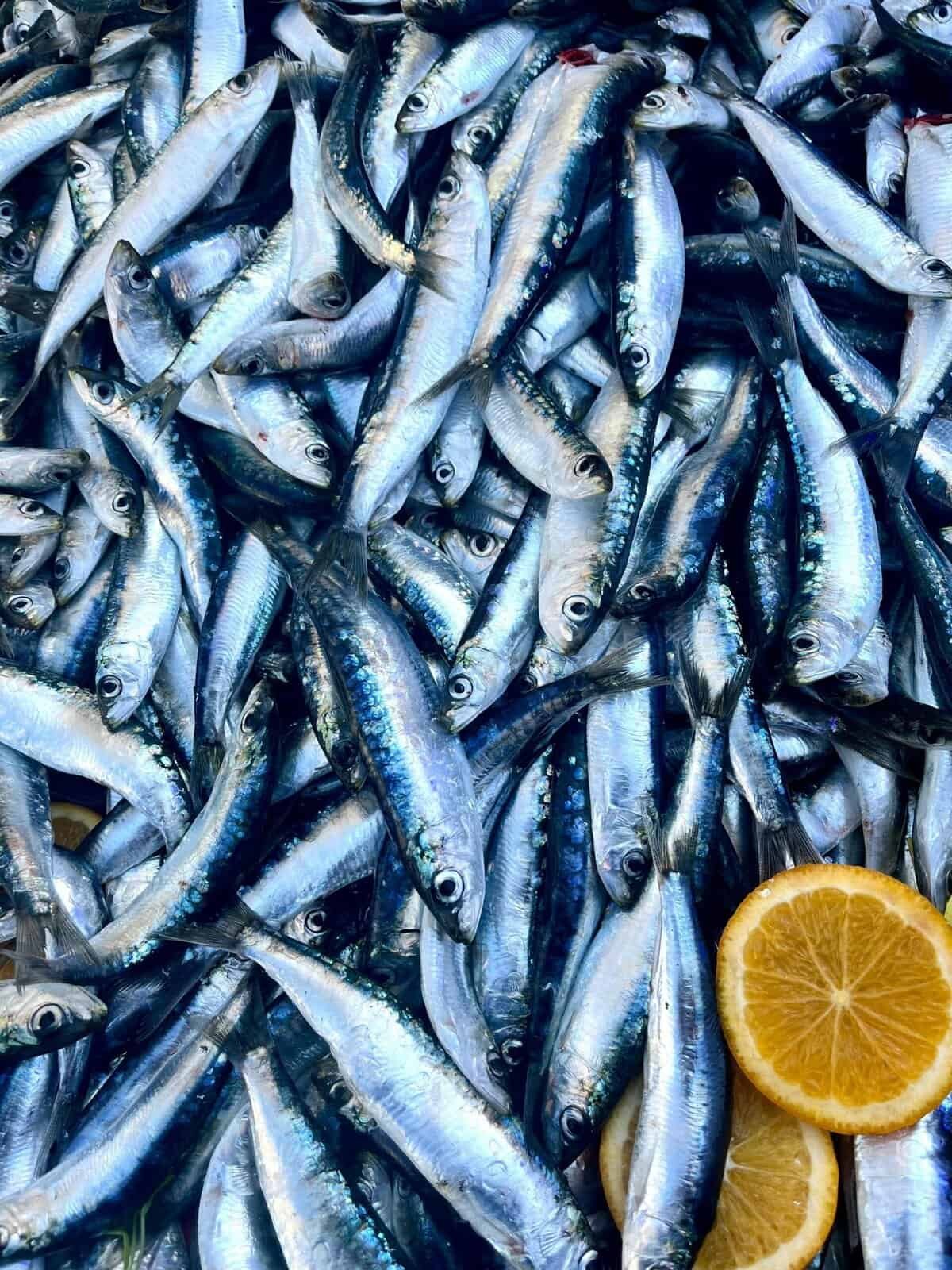 What Are The Best Side Dishes To Serve With Nopal? What Are The Best Side Dishes To Serve With Nopal?