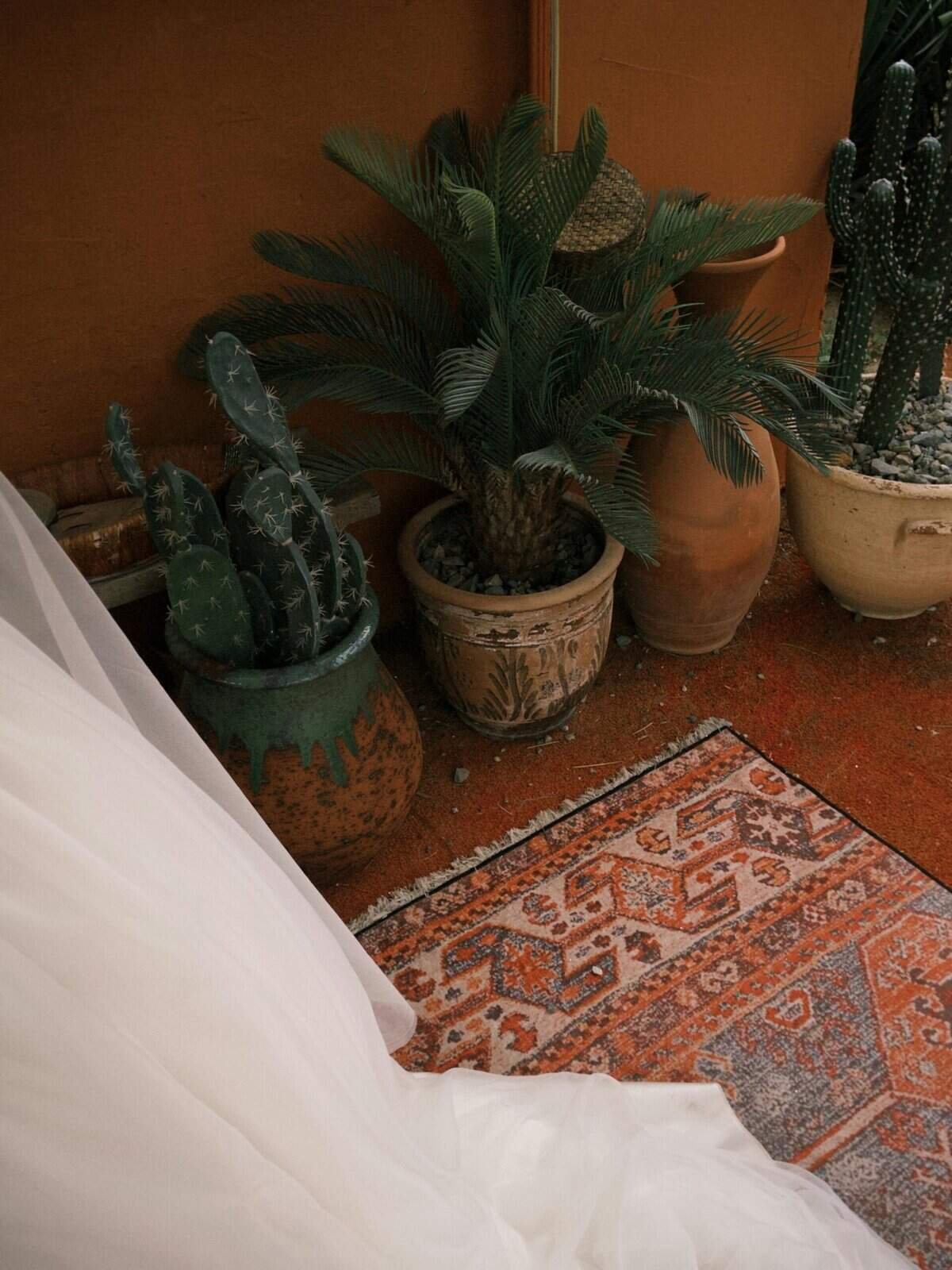 How To Prepare Nopal For Roasting In The Oven?