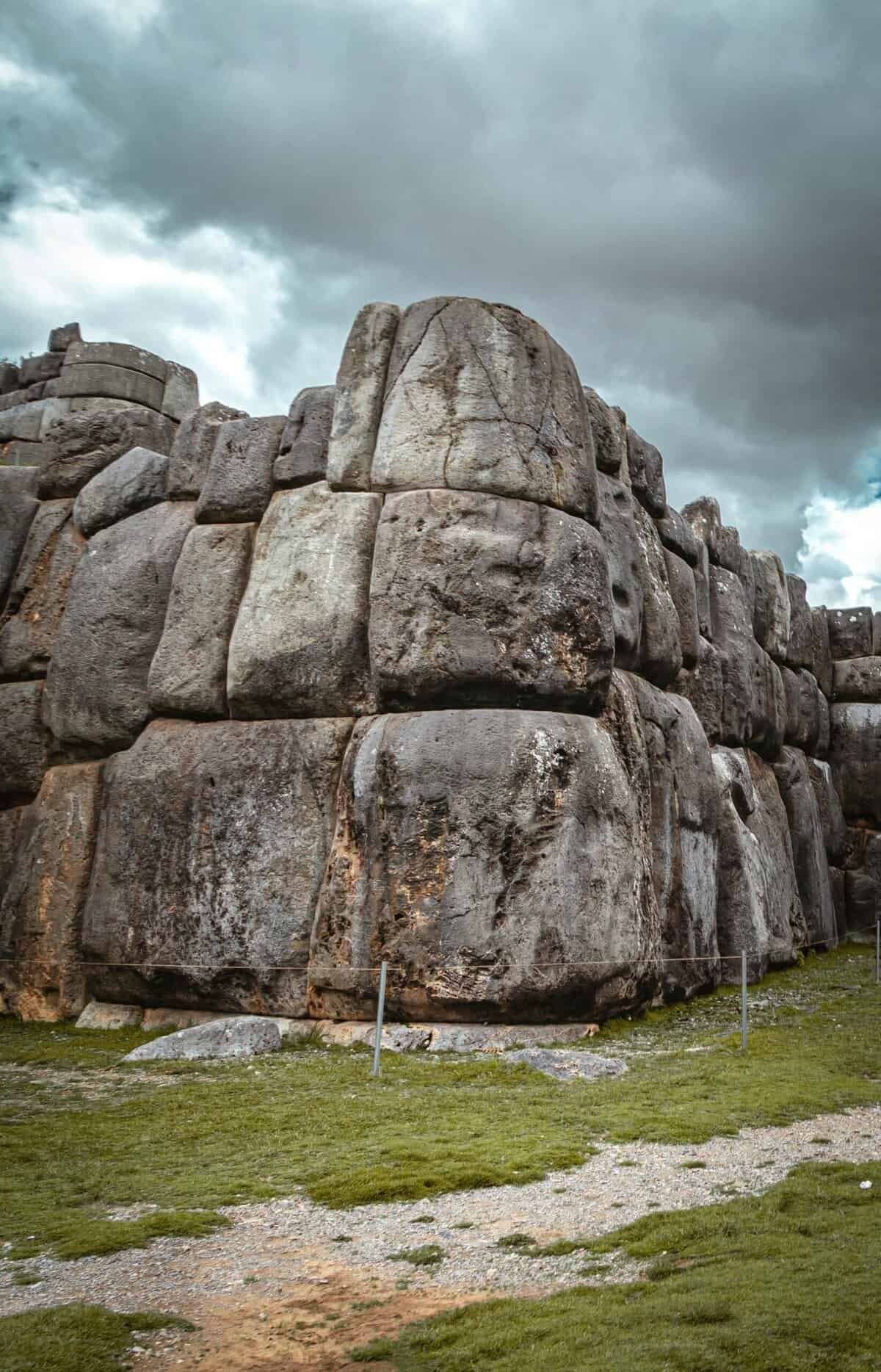 What Are The Best Ways To Preserve Nopal Cactus? What Are The Best Ways To Preserve Nopal Cactus?