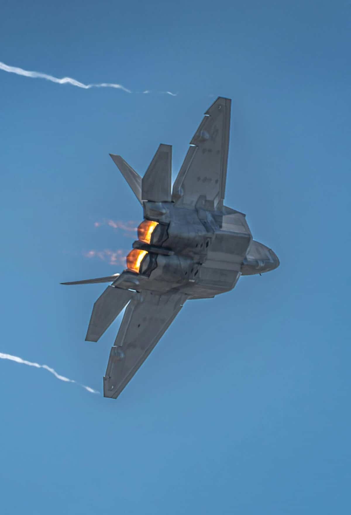 Can Nopal Cactus Help In Managing Stress And Anxiety? Can Nopal Cactus Help In Managing Stress And Anxiety?