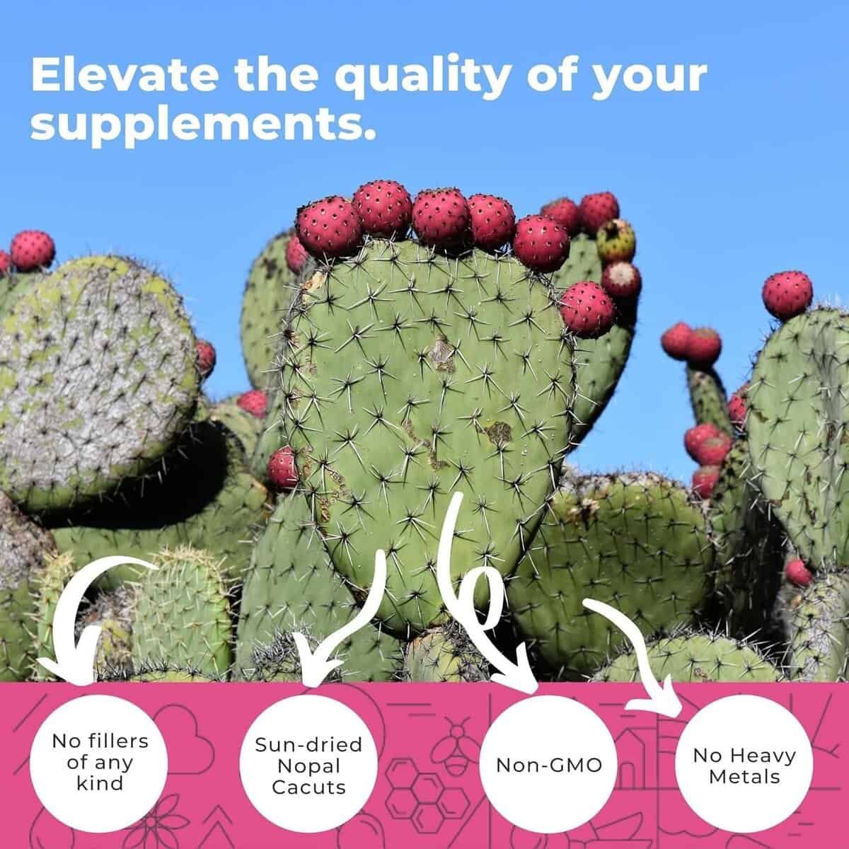 Nopal Cactus Capsules 1500mg- Organic Sun-Dried Prickly Pear Cactus Fruit Powder  Black Pepper Extract for Absorption- Natural Prickly Pear Super Supplement- Fiber, Vitamins and Minerals 240 Capsules