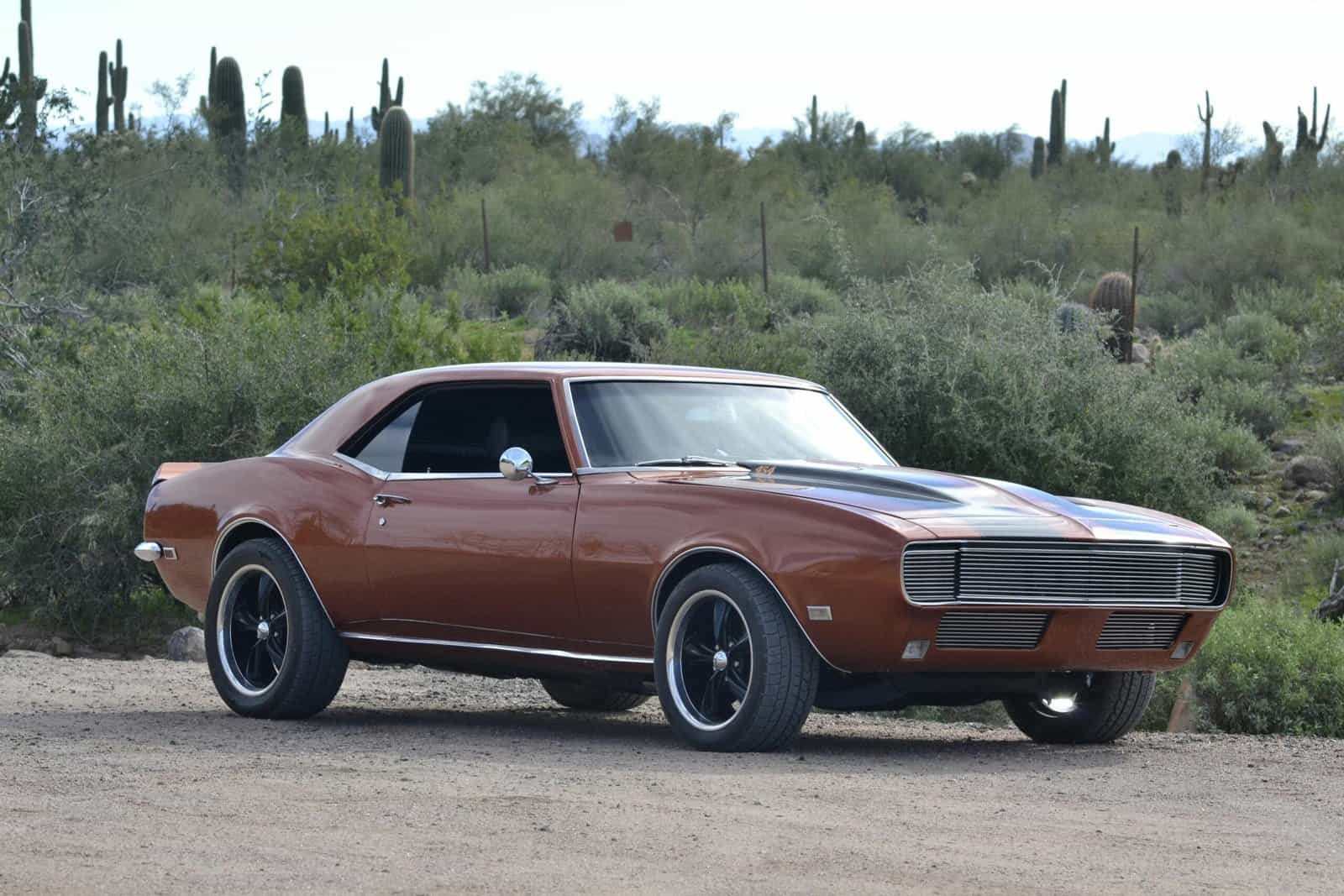 Can Nopal Cactus Help In Preventing Digestive Disorders? Can Nopal Cactus Help In Preventing Digestive Disorders?