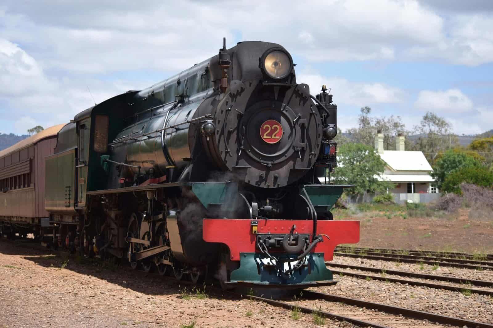 How To Grow Nopal Cactus In Alkaline Soil?