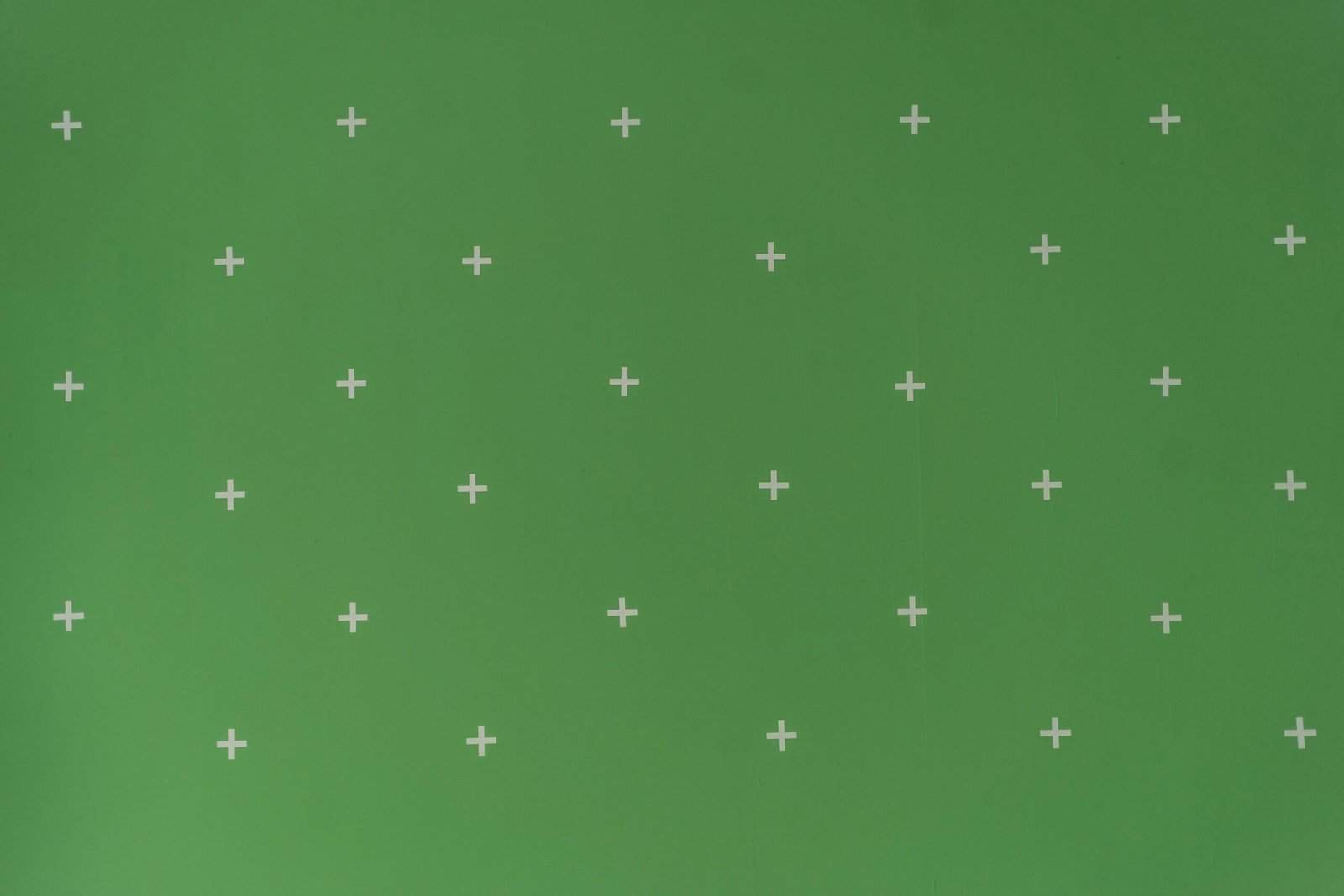 How Does Nopal Cactus Promote Healthy Digestion? How Does Nopal Cactus Promote Healthy Digestion?