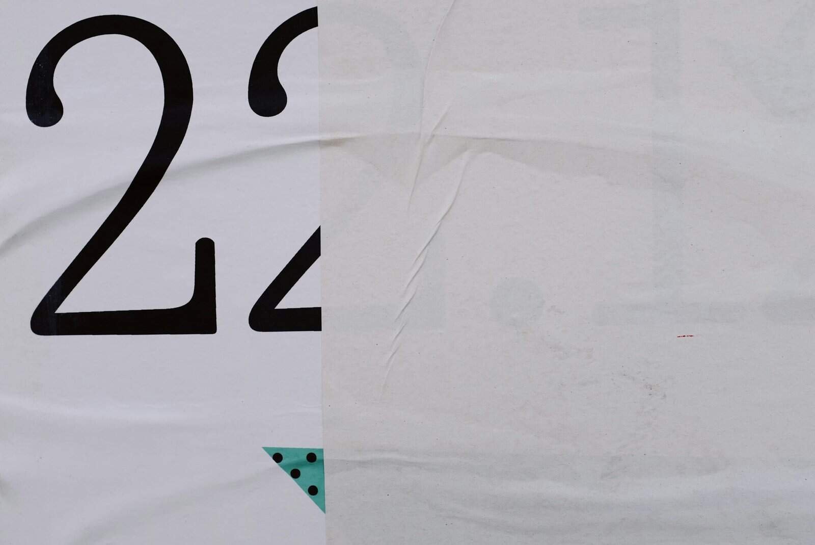 How Does Nopal Cactus Support Healthy Hair And Nails?