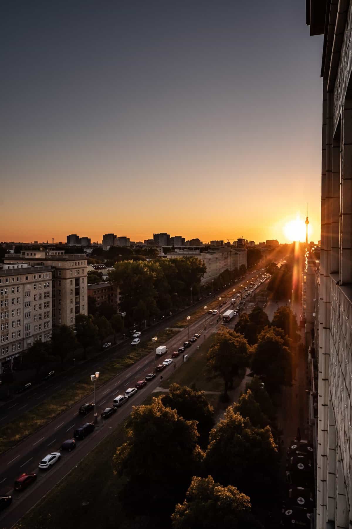 What Type Of Sunlight Does Nopal Require?