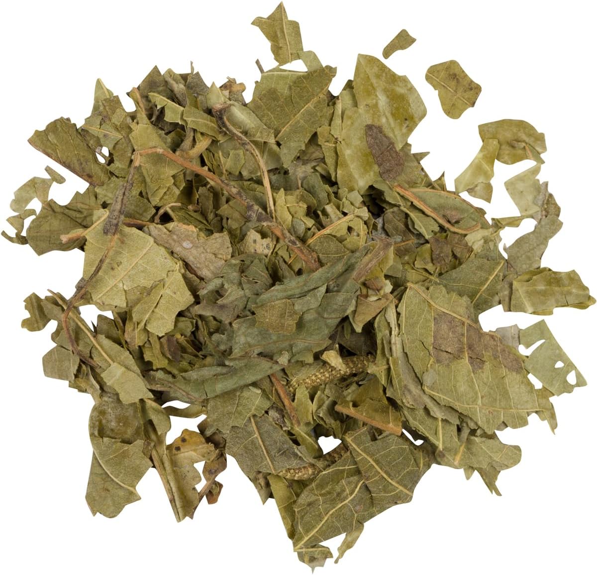 Matico Tea Review - nopalwellness.com