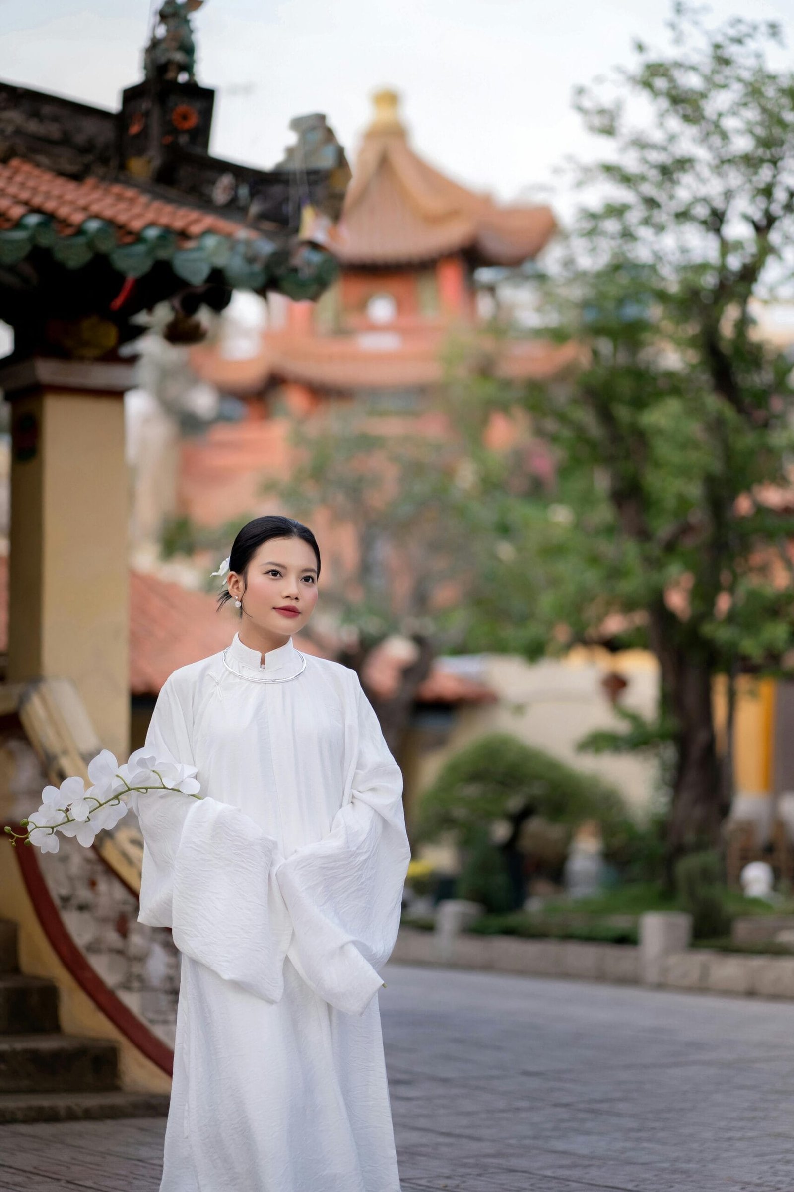 How To Grow Nopal Cactus From Pads?