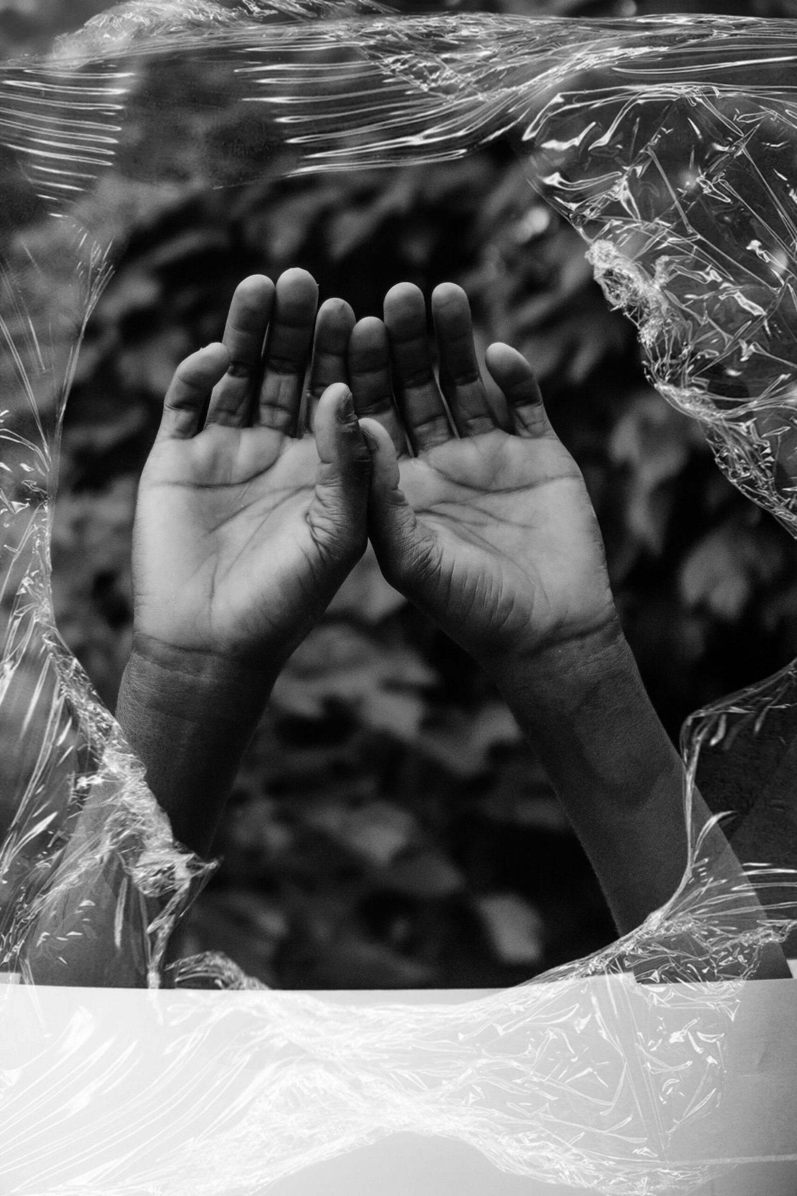 What Are Some Traditional Ways To Cook Nopal?