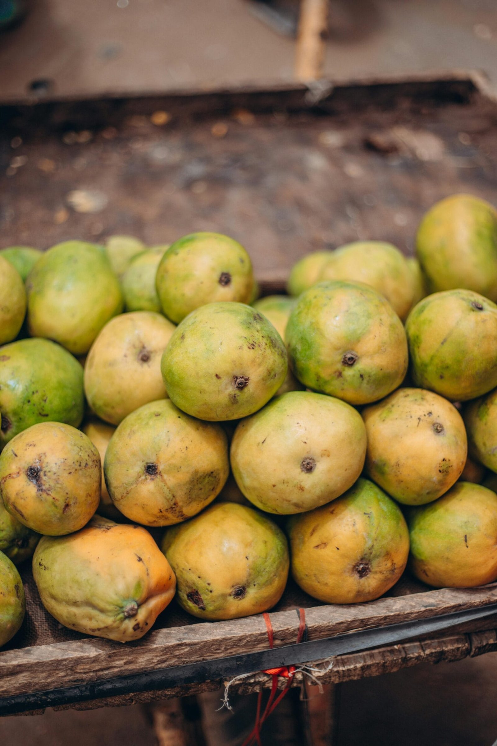 What Are The Benefits Of Adding Nopal To Your Diet?