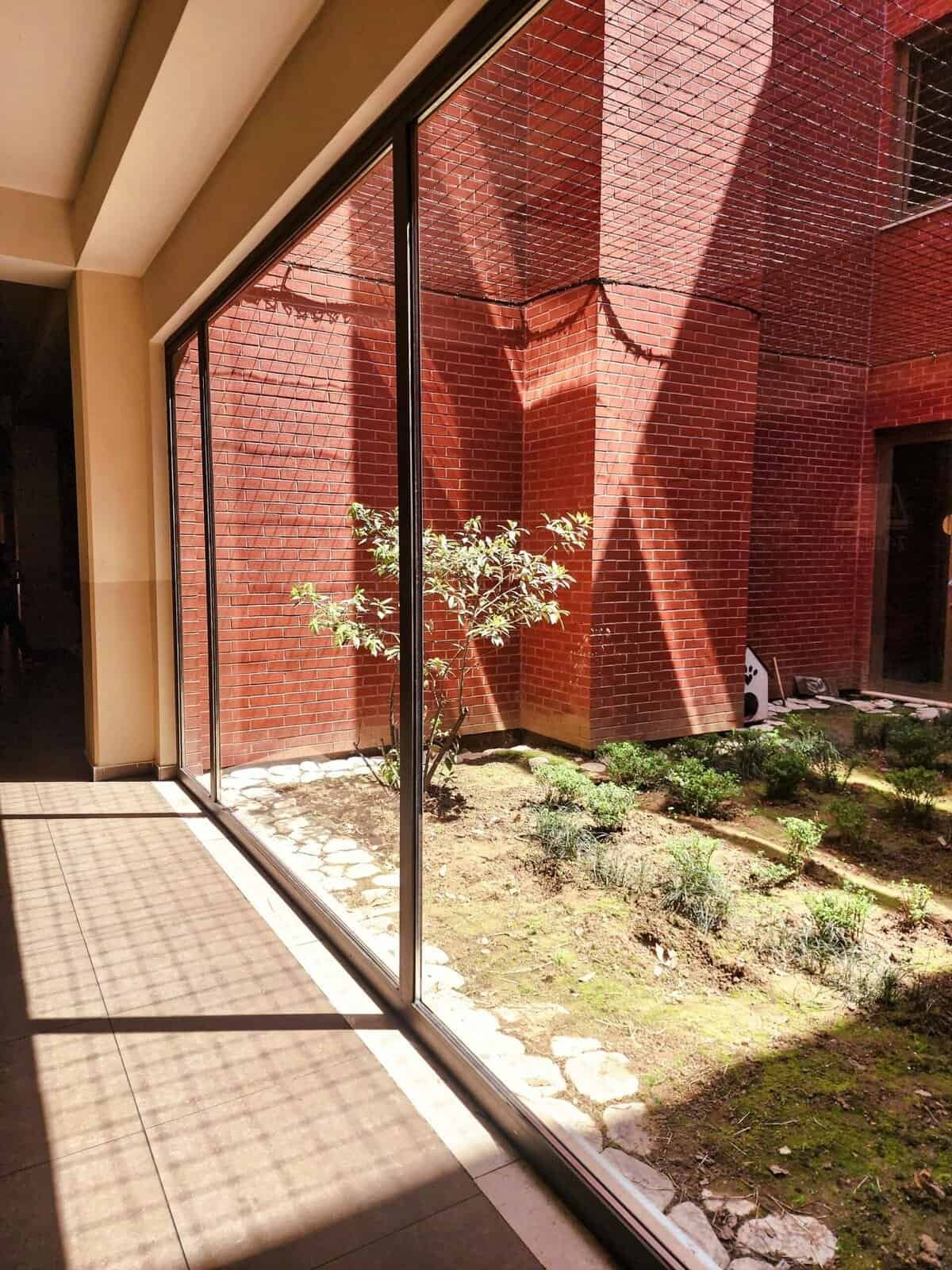 How To Grow Nopal Cactus In Humid Climates?